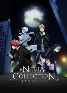 Ninja Collection streaming vostfr