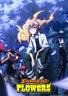 Shaman King Flowers streaming vostfr
